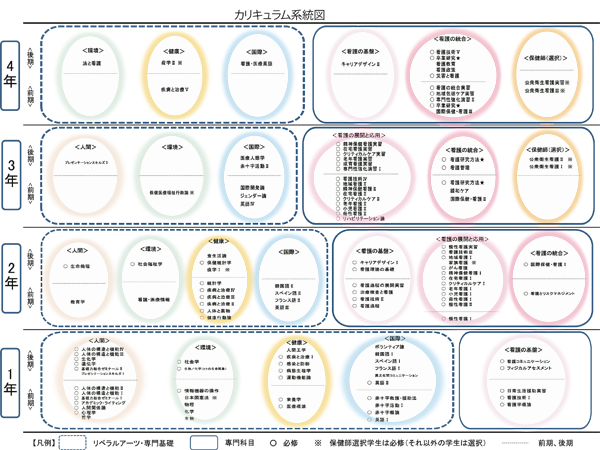 カリキュラム系統図