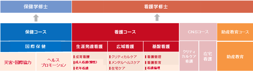 コース・専攻領域
