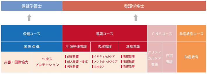 コース・専攻領域